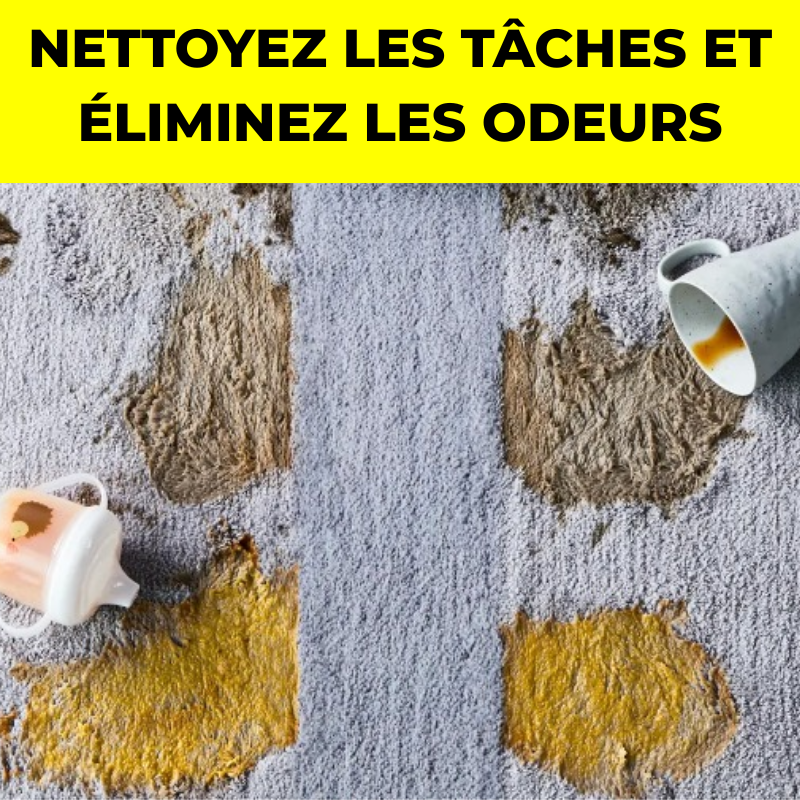 Shampouineuse – Tapis & Canapés