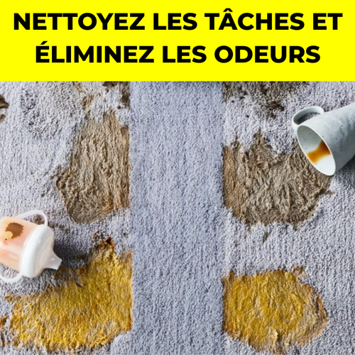 Shampouineuse – Tapis & Canapés