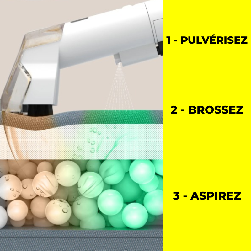 Shampouineuse – Tapis & Canapés